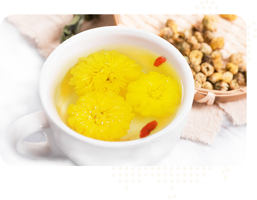 始建于2015年，實(shí)力雄厚