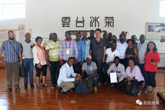 目測(cè)這朵菊花要火，國(guó)外專家為它頻頻而來······