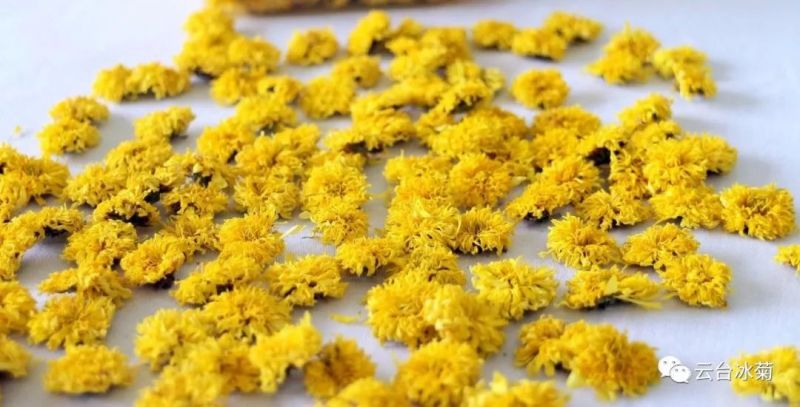 2018，種下希望，靜待花開！